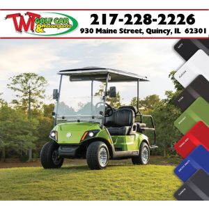 Brand New 2025 Yamaha Drive² Quietech PTV EFI Gas Golf Car 'J0D-8xxxxx'
